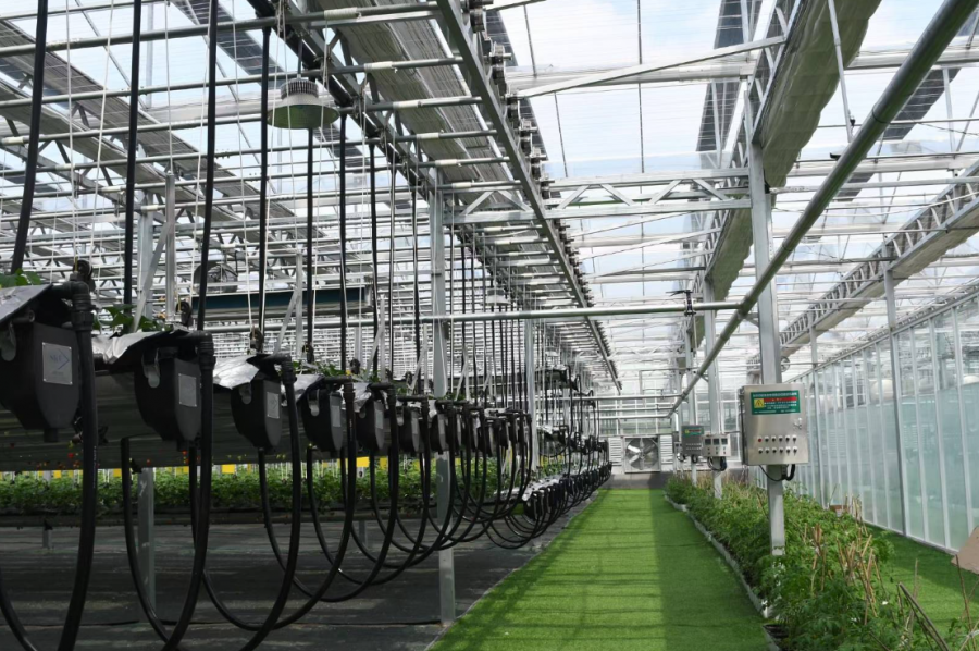 國金租賃農(nong) 業(ye) 項目.png